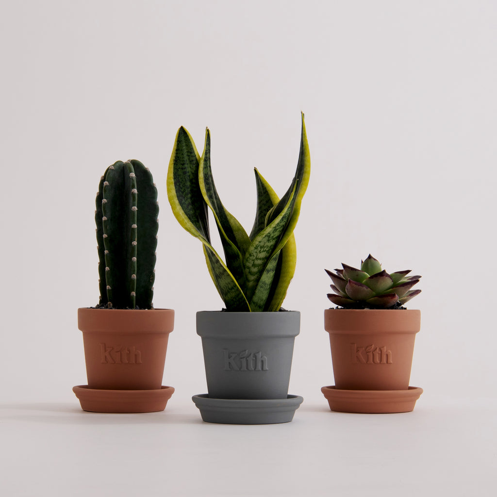 Kith Earth Day Planter 2023 Monday Program™ – Kith Tokyo