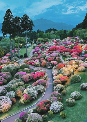 Kith Summer 2022 - Japanese Azalea Gardens